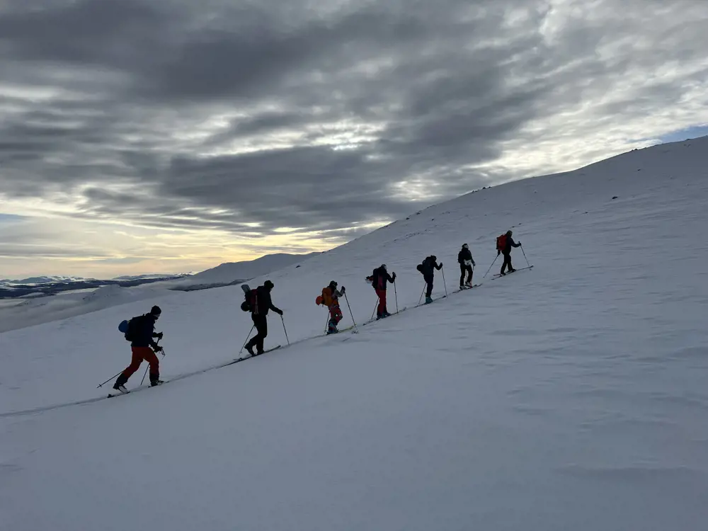 skiløpere går i rekke oppover fjellside