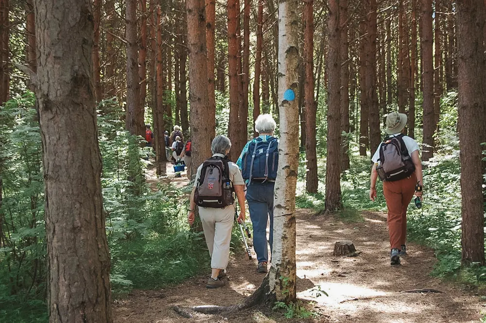 En gruppe turgåere i skogen. Foto.