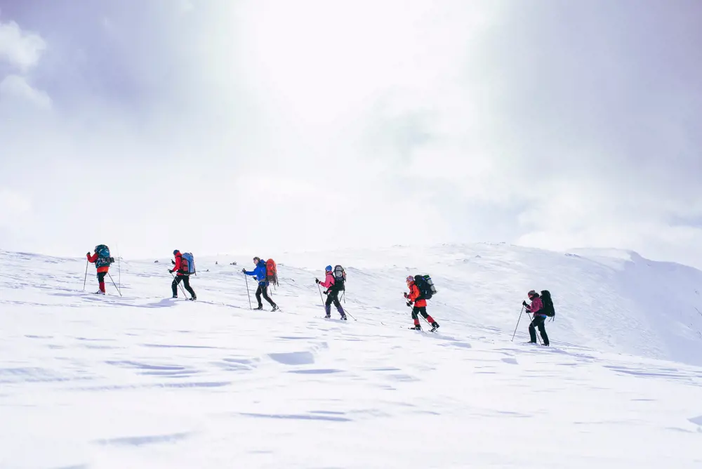 Skiløpere på rekke og rad i hvitt vinterlandskap
