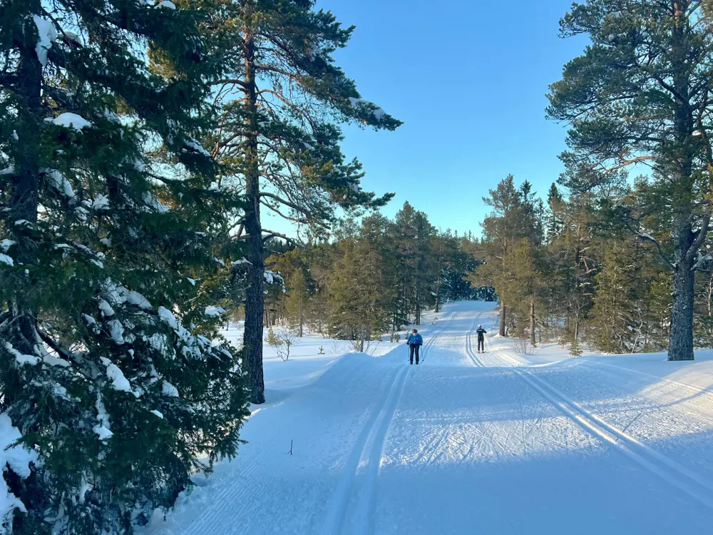 En bred vei gjennom snøen i skogen, med oppkjørte skispor både på venste og høyre side. To skigåere er synlige, en på vei mot oss og en fra oss. 