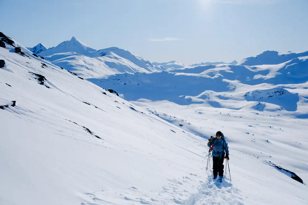 Skiløper på topptur i fjellterreng