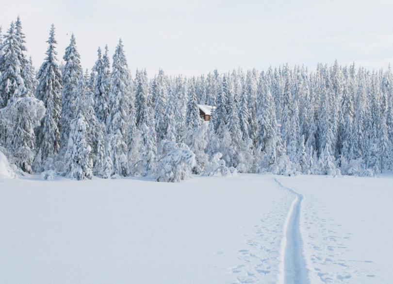 Vinterlandskap, hytte i skogen.