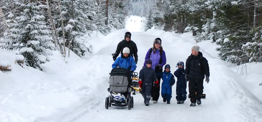 Fire voksne, tre barn, og en barnevogn, kommer gående mot oss langs en vei gjennom skogen, midt på vinteren. Alle er kledd for aktiviteter i snøen- 