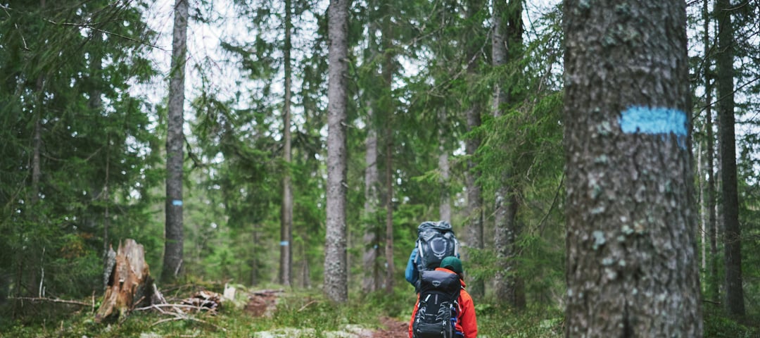 Blåmerka sti, Nordmarka