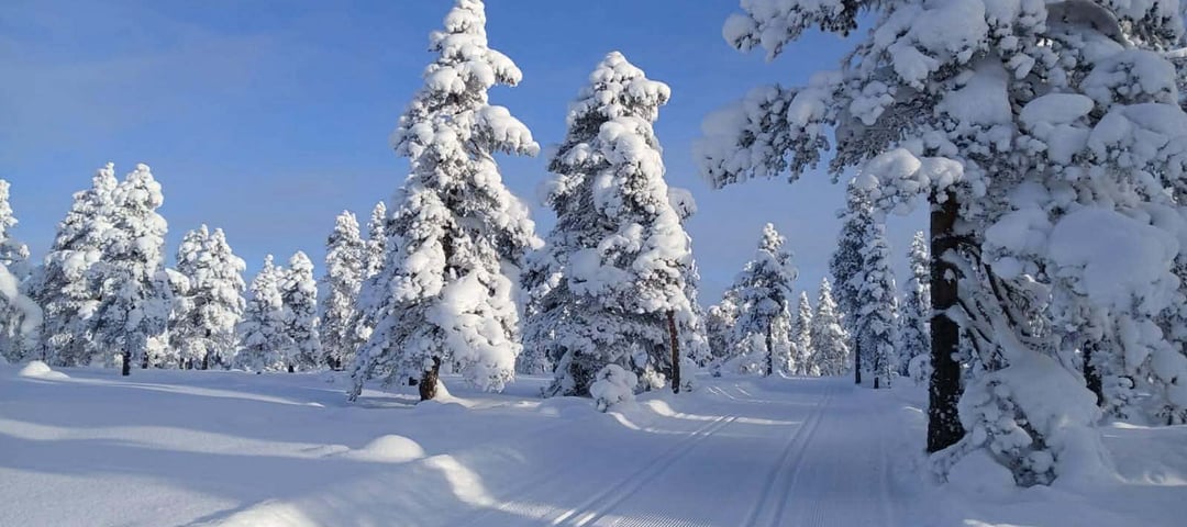 Snødekt vinterlandskap og blå himmel
