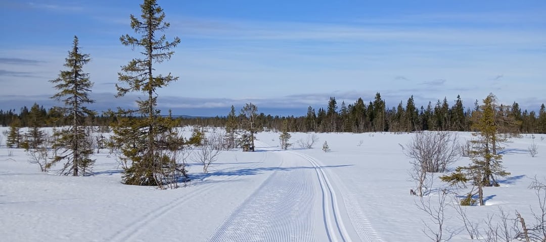 Fine forhold fredag 10. april