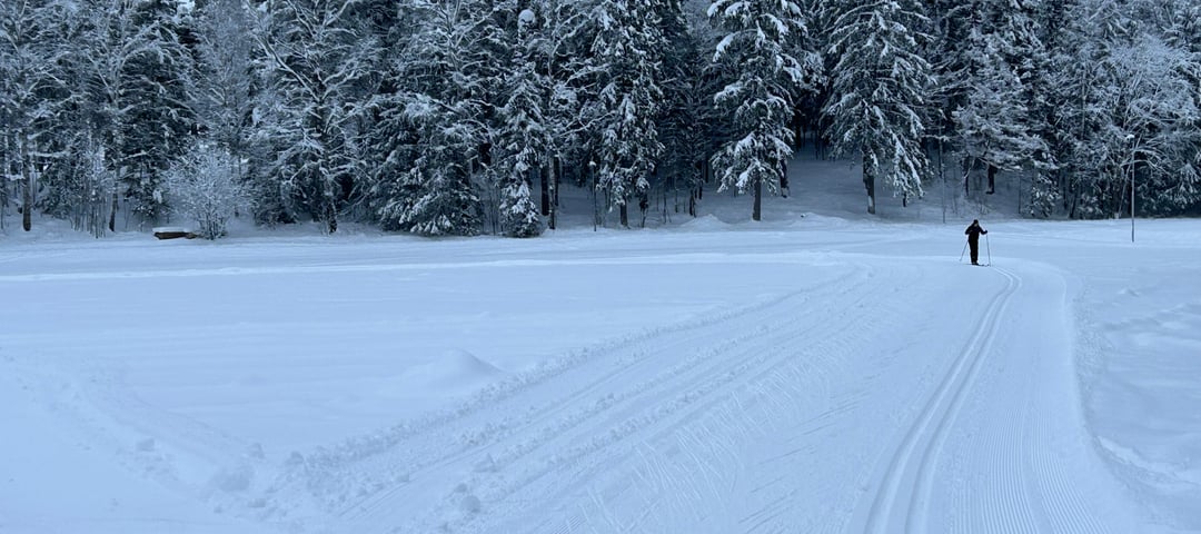 Ankerskogen har flotte løyper torsdag 15.01