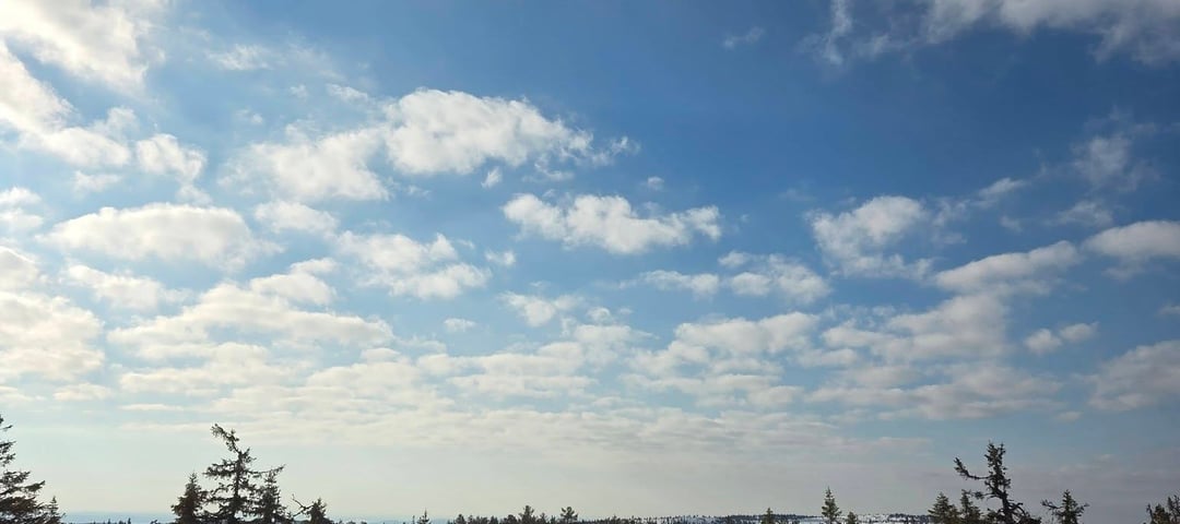 Skiløyper i vårsol.