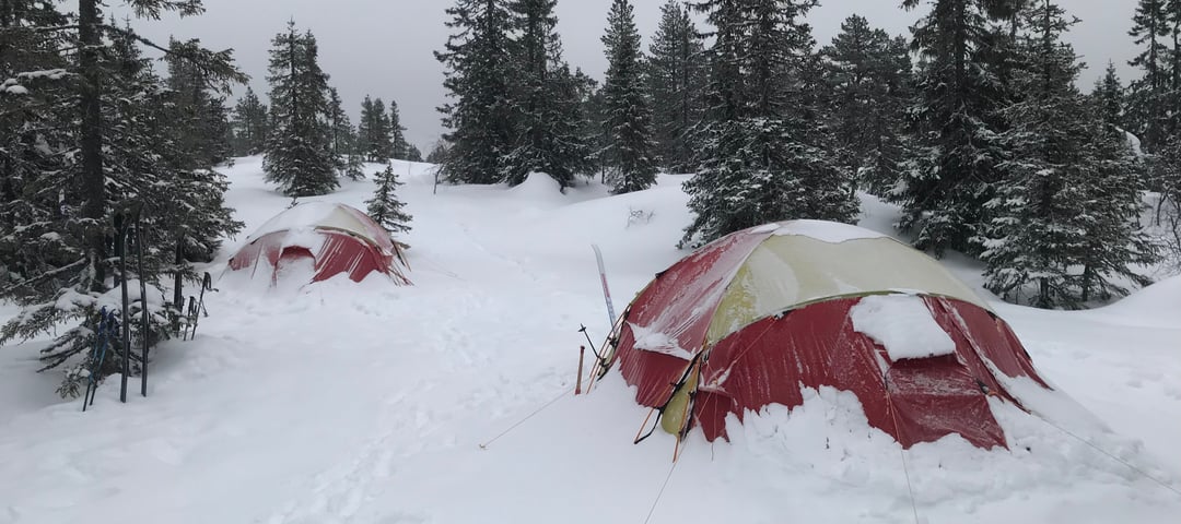 Telt på vinteren