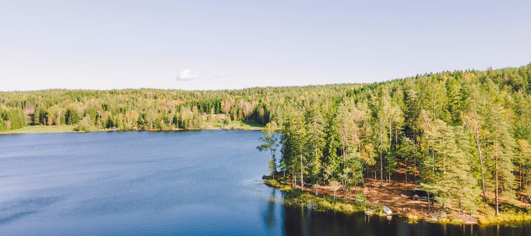 Et vann i skogen