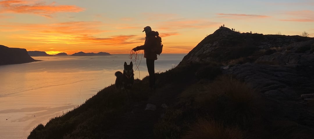 Person i solnedgang med hund