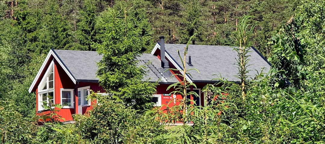 Sommerbilde av Østtorphytta 