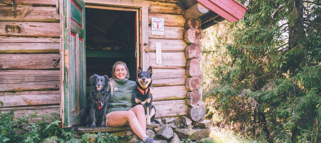Hund foran hytte i skogen