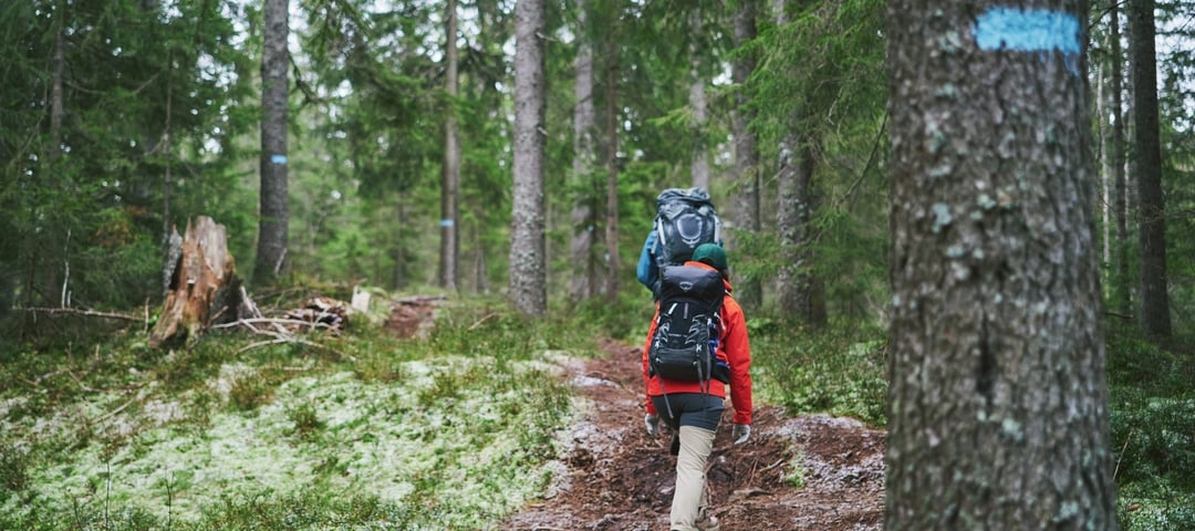 Blåmerka sti, Nordmarka