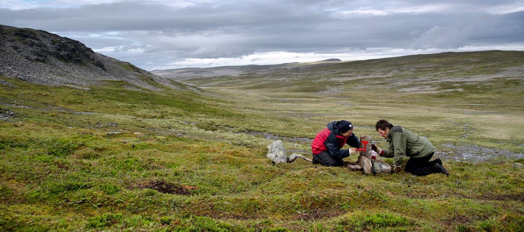 E1-dugnad i Finnmark sommeren 2012.