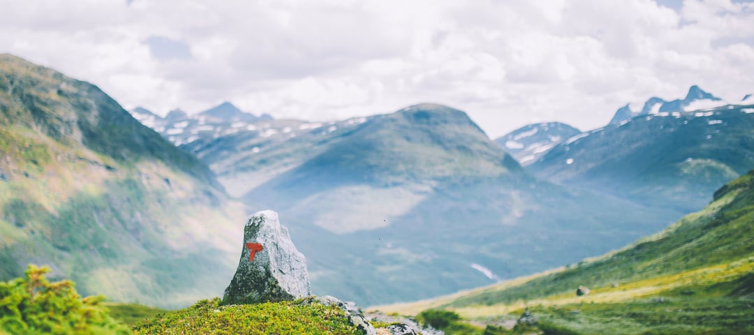 rød t i vakkert fjellandskap