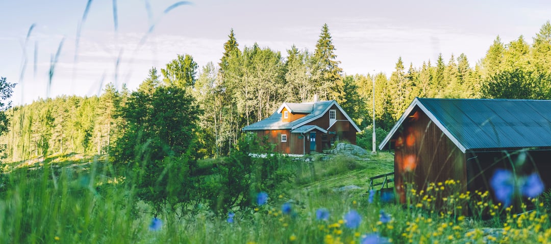 Rød trehytte med blått tak omgitt av grønn skog og blomstereng