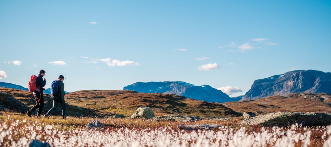 Høst ved Haukeliseter, bilder fra tur rundt Venaretjønn, på norsiden av hytta.