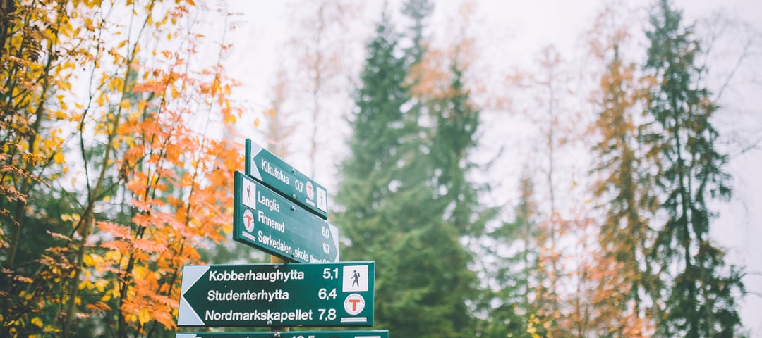 Høstferie gjennom tåken i Oslomarka i 2018. 