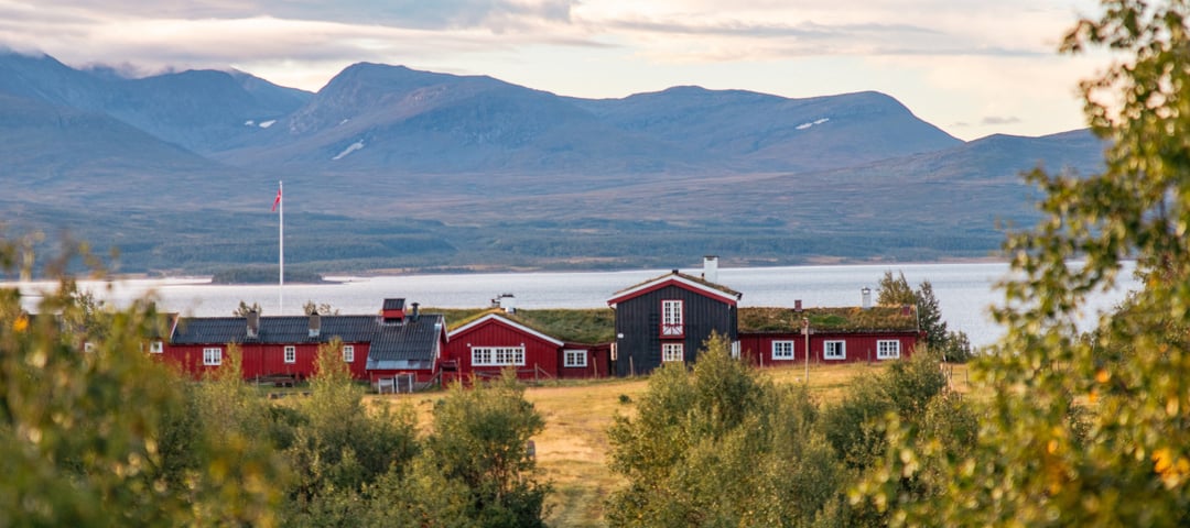 Storerikvollen, august 2024