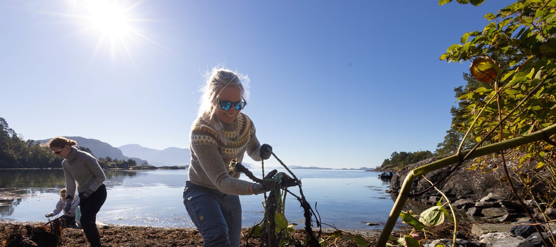 To kvinner plukker boss langs strand langs blikkstille fjord og sol.