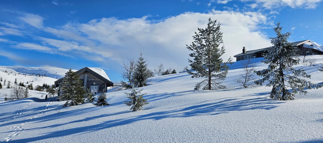 Mjåvasshytta om vinteren