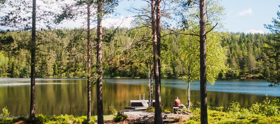 Tur til Kobberhaughytta, sommer 2025