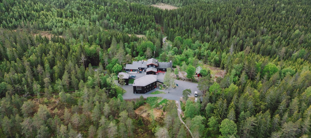 En mørk trehytte i et skogslandskap sett ovenfra