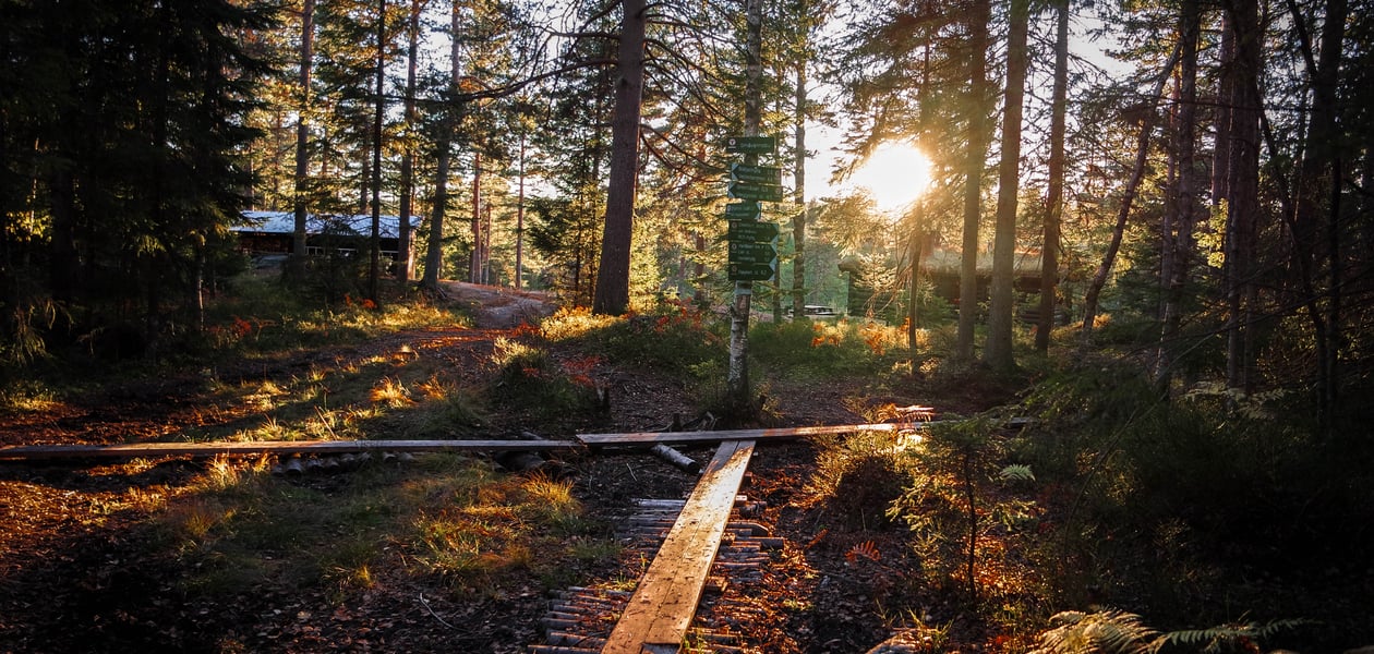 Når jeg vil en kjapp tur bort fra hverdagsmaset går jeg inn til DNT hytta Småvannsbu i kjekstadmarka. Her i høstdrakt og lyset fra solnedgangen.