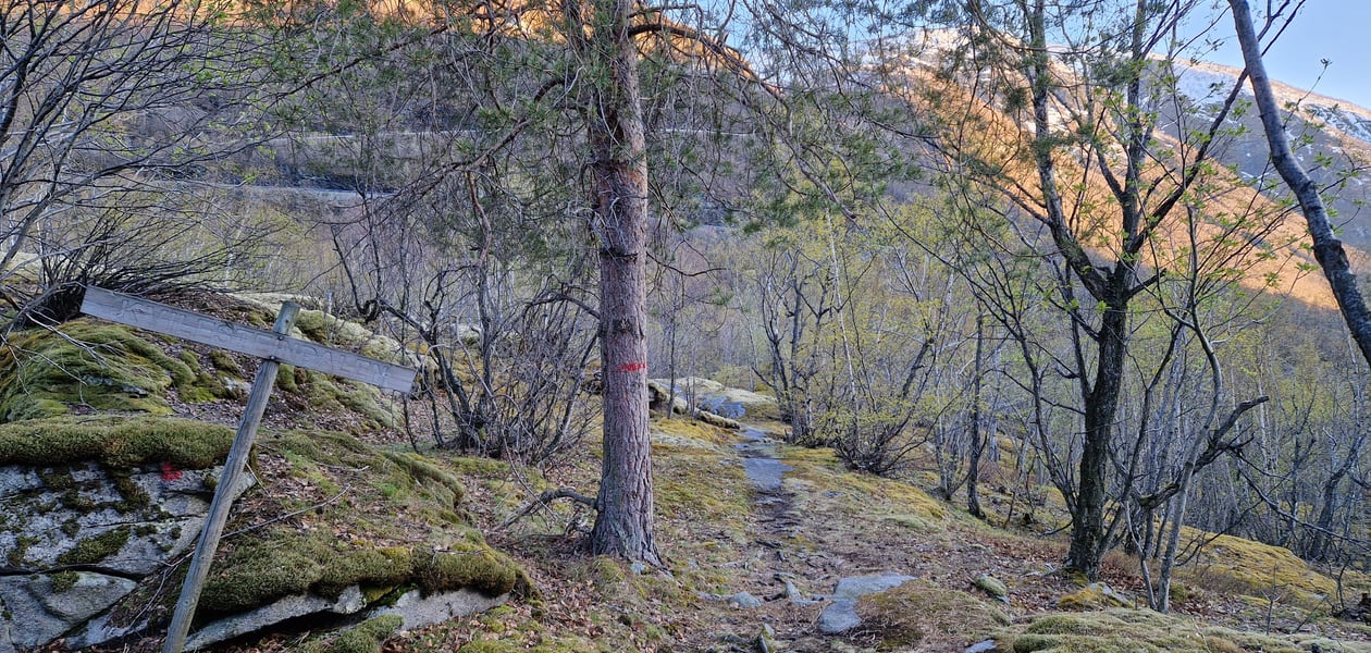 Kvilesteindalen