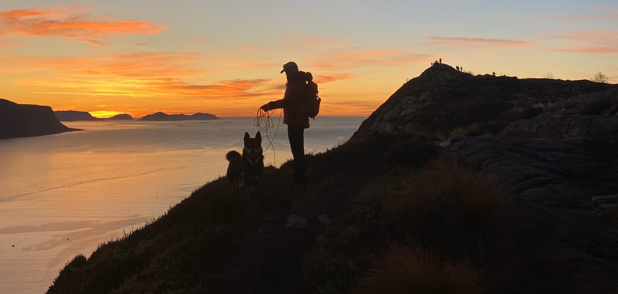 Person i solnedgang med hund