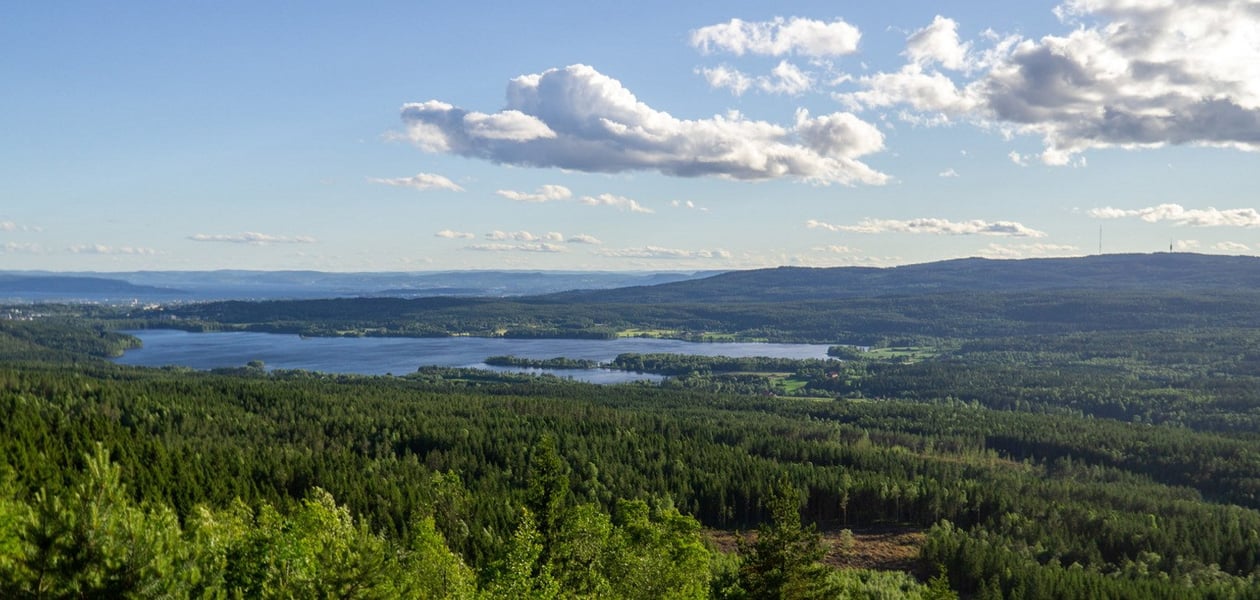OSLO 20180619DNT tur til Barlindåsen.Foto: Arash A, Nejad  Til Topps-turer i Oslo våren 2018, der flyktninger, andre innvandrere og frivillige i DNT møttes og gikk på tur. Her fra tur til Barlindåsen. 
