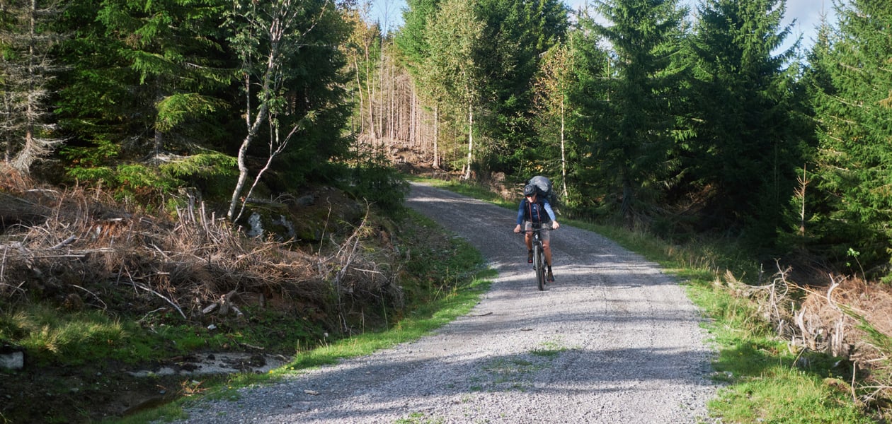 Fisketur med vennegjeng til Katnosdammen, Nordmarka.