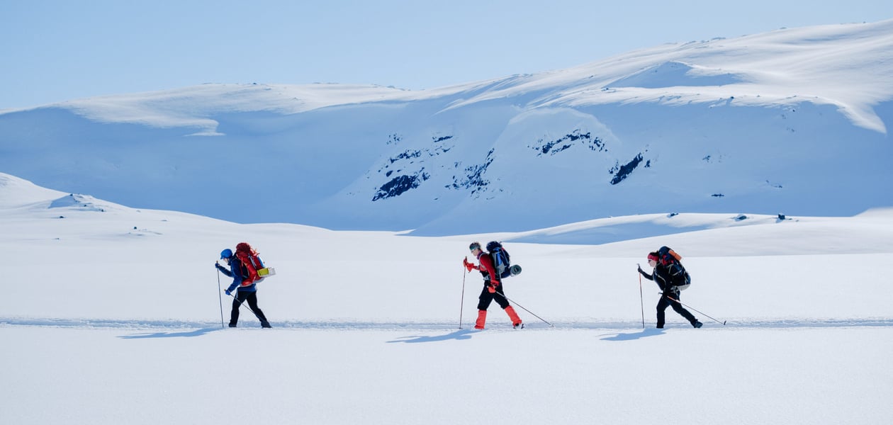 Tre skiløpere i vinterkledd fjellandskap