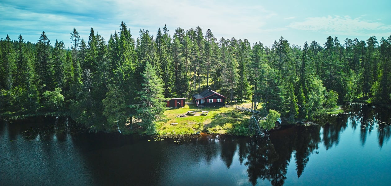 En koselig hytte ved vannkanten omgitt av tett skog på en klar og solfylt dag.
