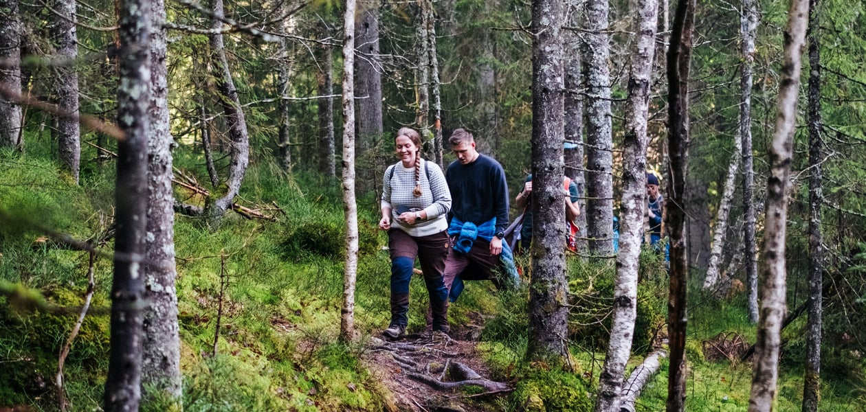 To personer som går på en sti gjennom en skog