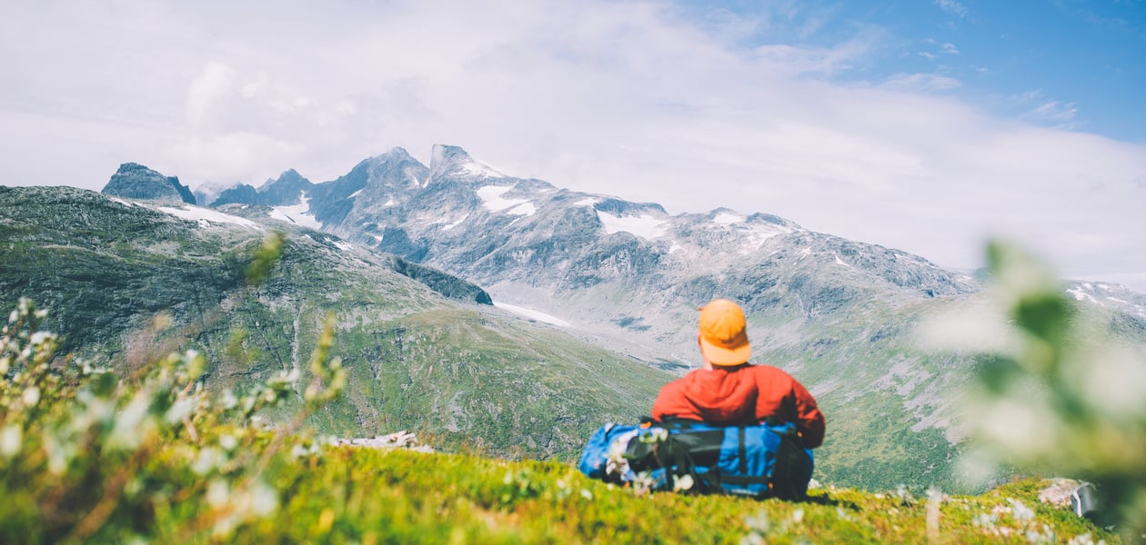 en person som sitter i en blomstereng med fjell i bakgrunnen