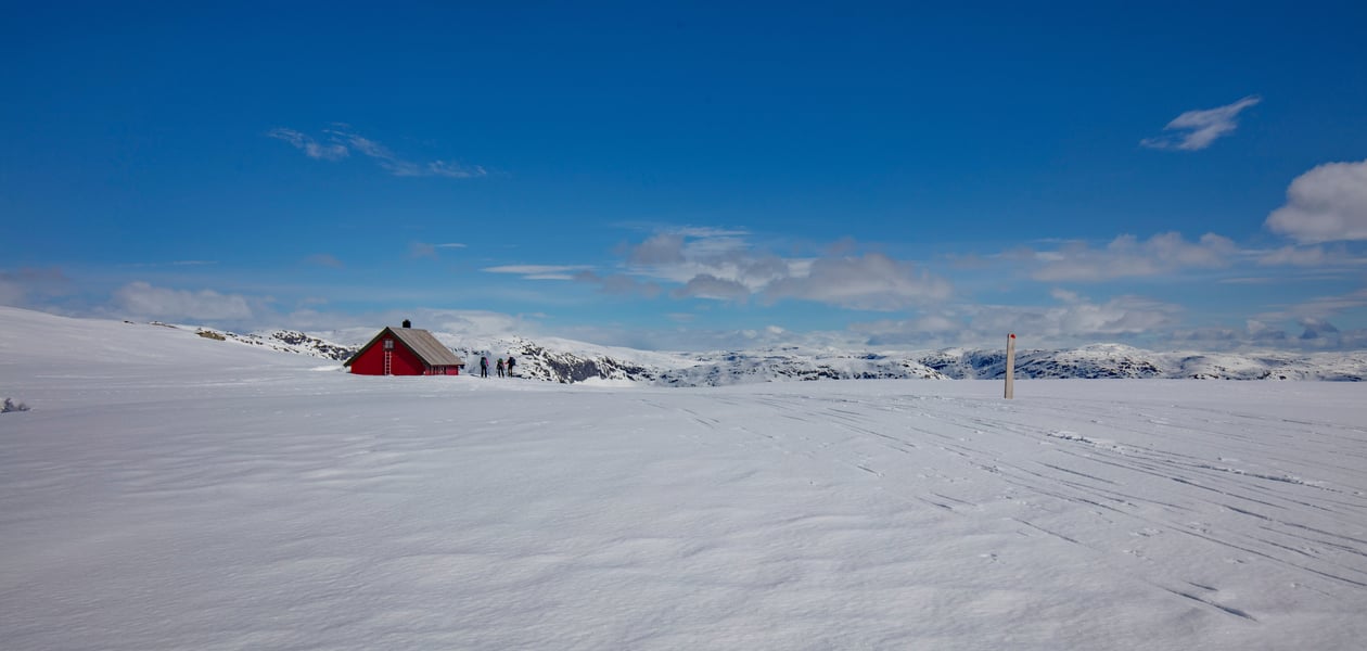Avdelingstur med aktivitetsavdelingen våren 2024