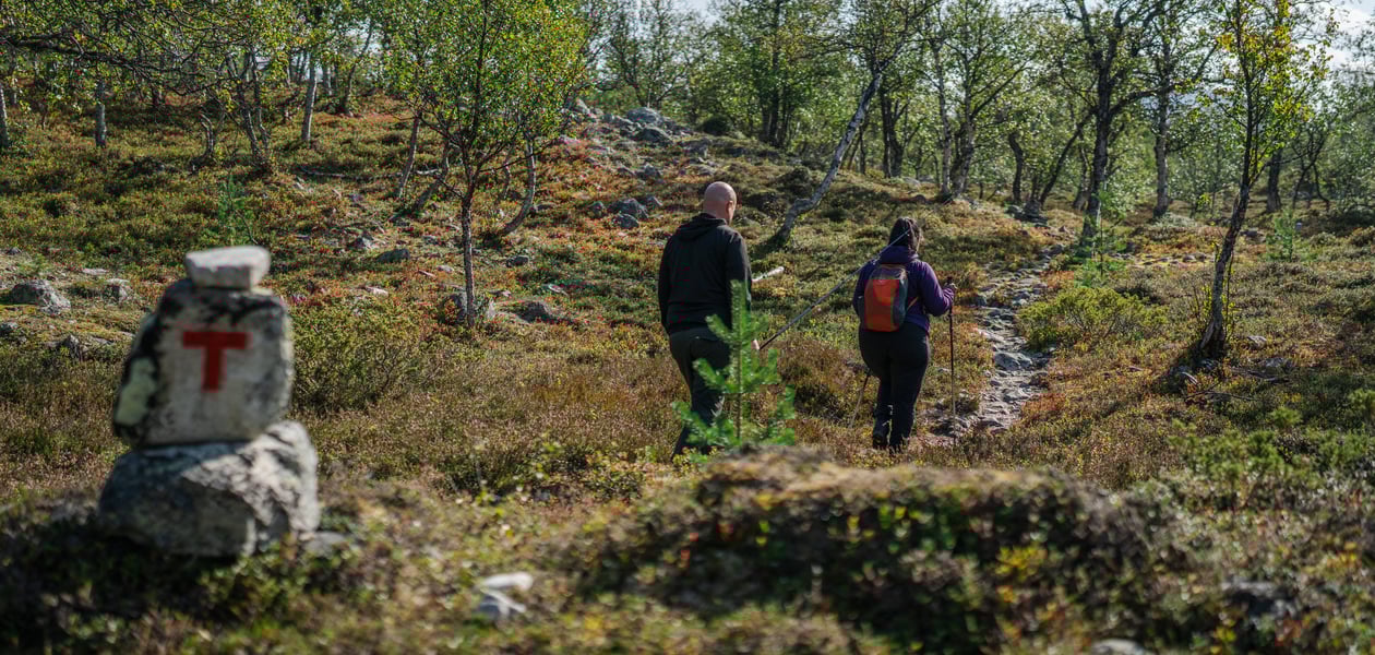 Svukuriset i Femundsmarka