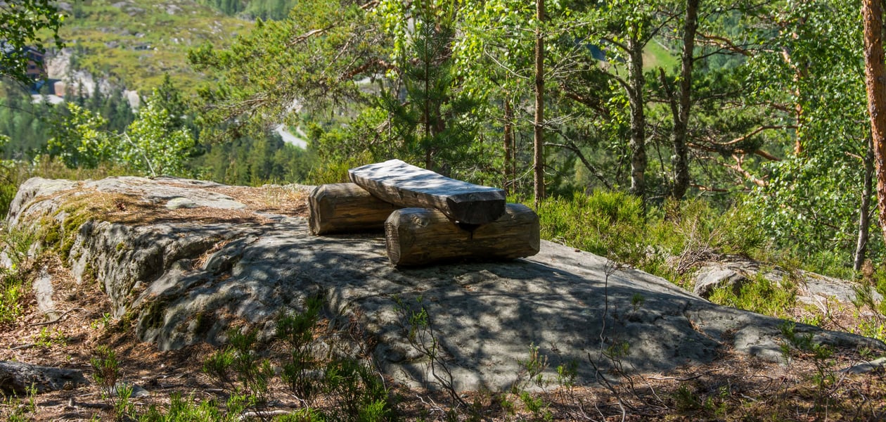 en tømmerbenk som står på en berghylle, men litt utsikt i bakgrunnen til en dal. det er frodig og grønt rundt