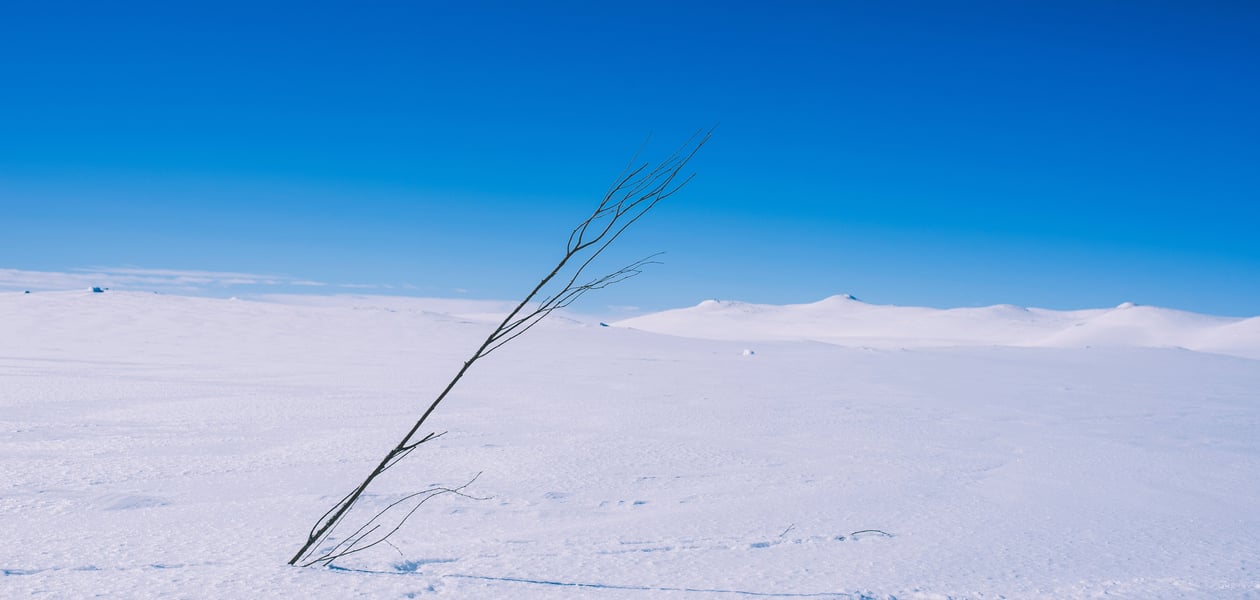 Vintertur over Hardangervidda. Bildene er fra etappen mellom Kalhovd, Helberghytta og Rjukan.
