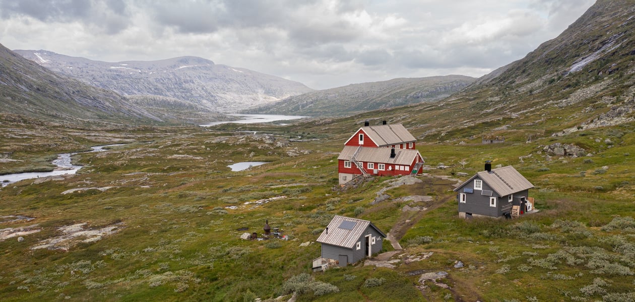 Stavali, august 2023.