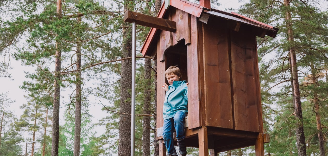 Morosløyd på Liastua, med Barnas turlag