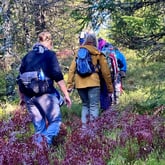 Aktiv i 100 fredagstur