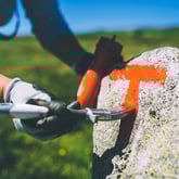 Bilder fra sommeråpning på Rauhelleren og Solheimstulen på Hardangervidda. 