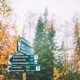 Høstferie gjennom tåken i Oslomarka i 2018. 