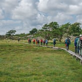 Seniortur til Koster