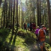 SØRKEDALEN 20190526Tur til Kobberhaughytta fra Sørkedalen skole.Foto: Arash A, Nejad / Nyebilder.no Internasjonal søndagstur til Kobberhaughytta mai-2019. 