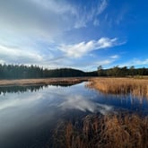 Bangtjønna i Bymarka
