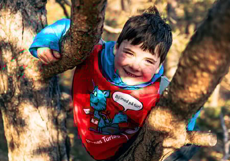 En gutt som klatrer i et tre